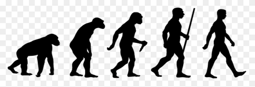 Evolution Development Forward Darvi