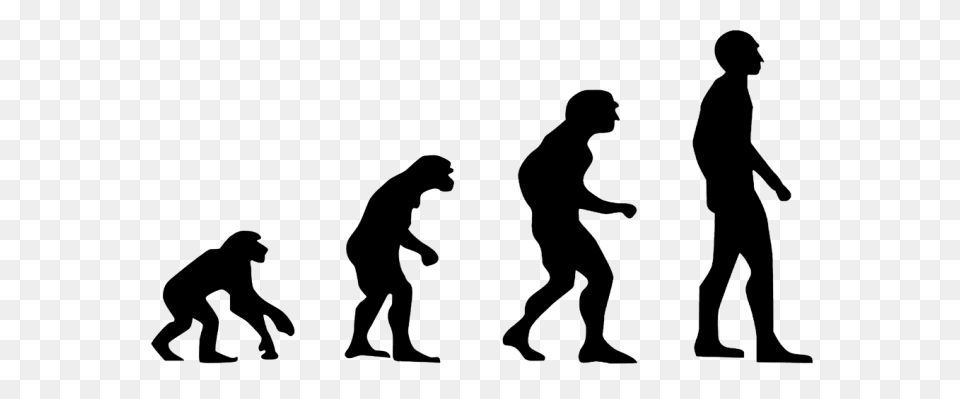 Evolution Development Forward Darvi