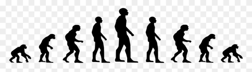 Evolution Development Forward Darvin Reverse - Evolution