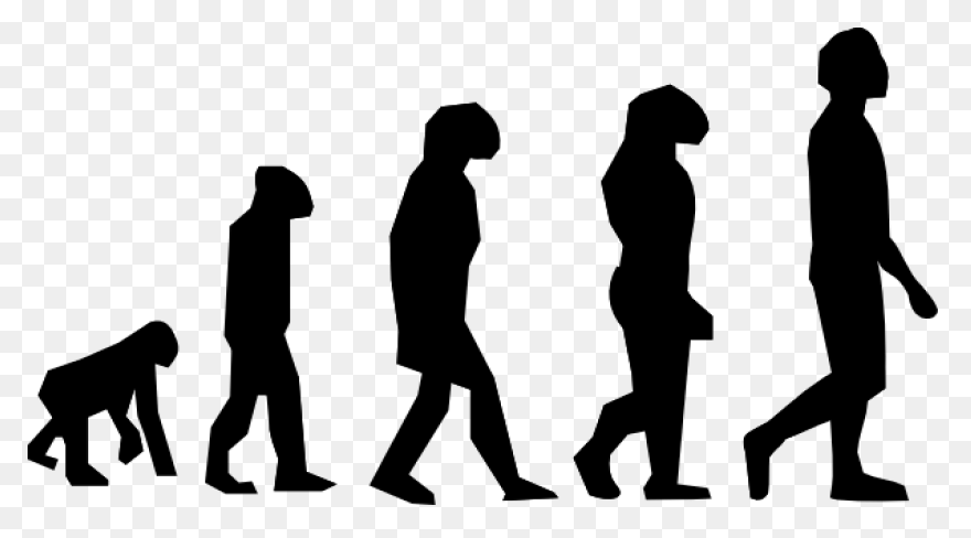 Evolution Development Forward Darvi