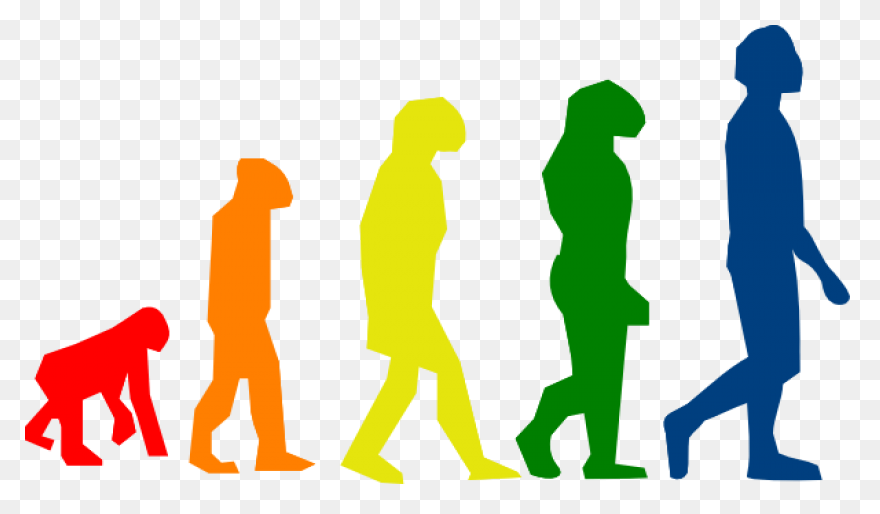 Evolution Development Forward Darvi