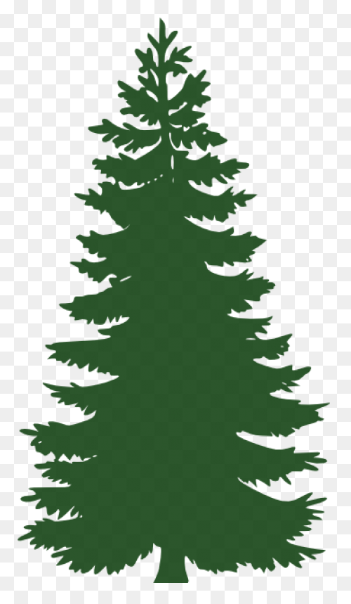Evergreen Cluster Clip Art At Clipa