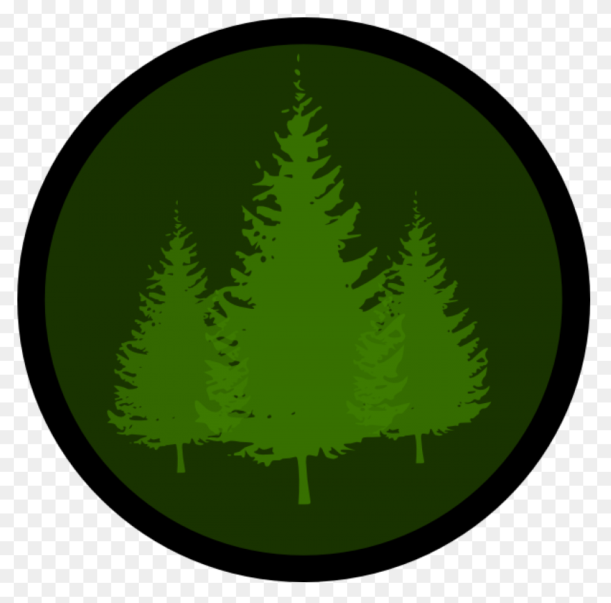 Evergreen Cluster Clip Art At Clipa