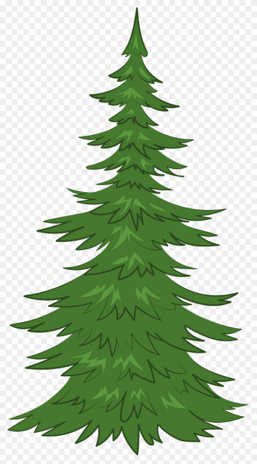 Evergreen Cluster Clip Art At Clipa