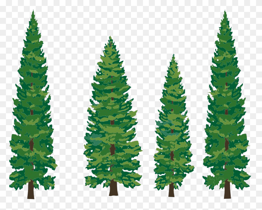 Evergreen Cluster Clip Art At Clipa