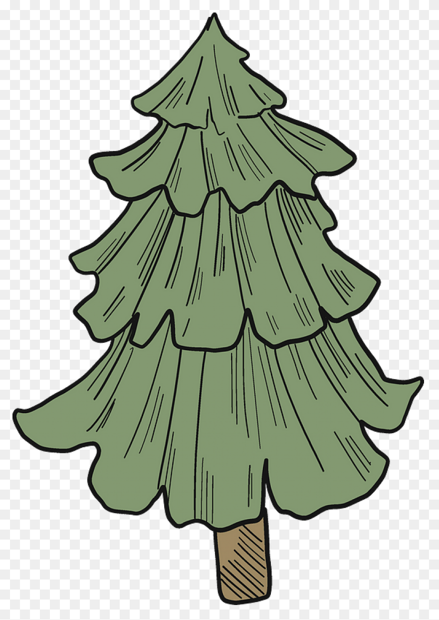 Evergreen Cluster Clip Art At Clipa