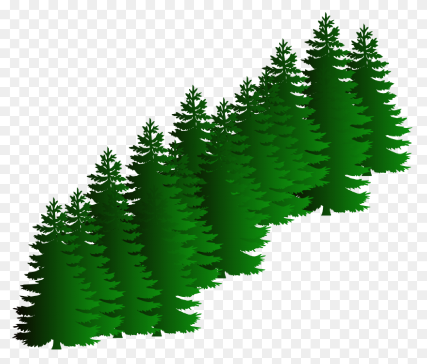 Evergreen Cluster Clipart At .com - Evergreen