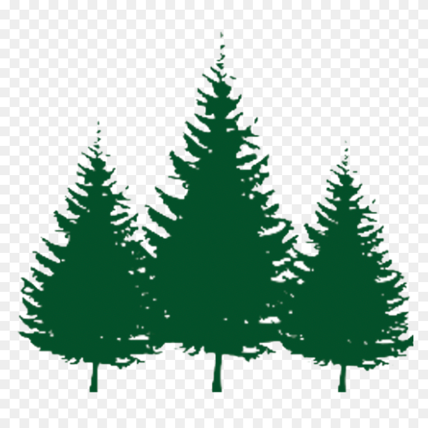 Evergreen Cluster Clip Art At Clipa