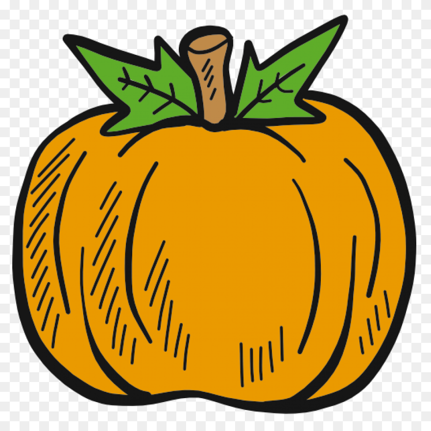 Why Choose Pumpkin Patch Ewok - Ewok