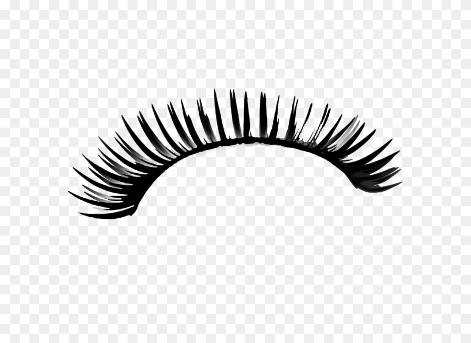 Png Eyelash By Moonglowlilly On - Eyelashes