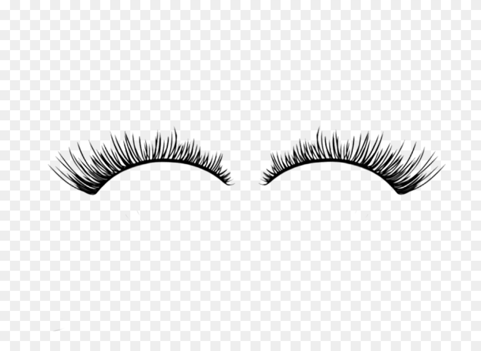 Png Eyelash By Moonglowlilly On  | 