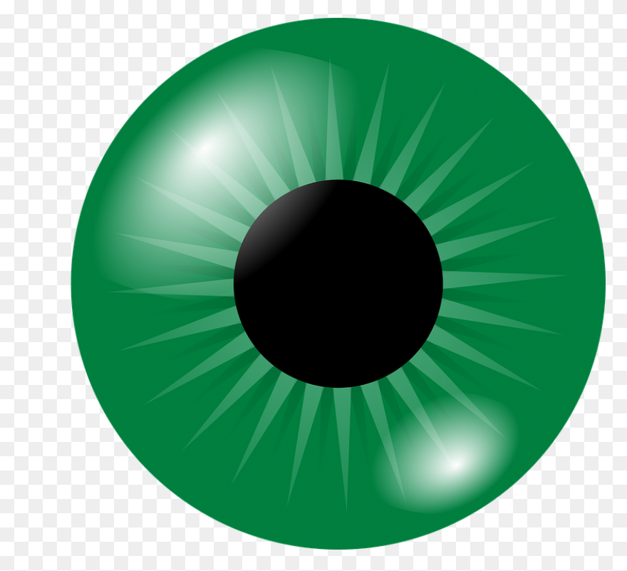 Eyeball Clipart Pig Eyeball Pig Tra
