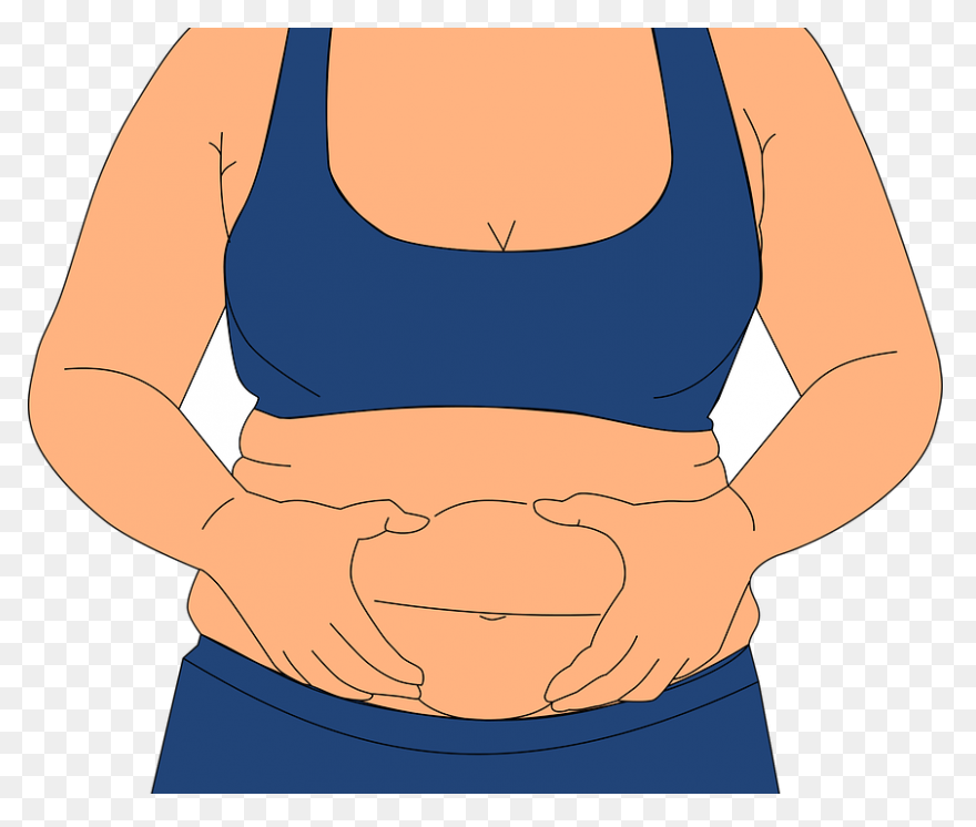 Fat Diet Update Fat In - Fat