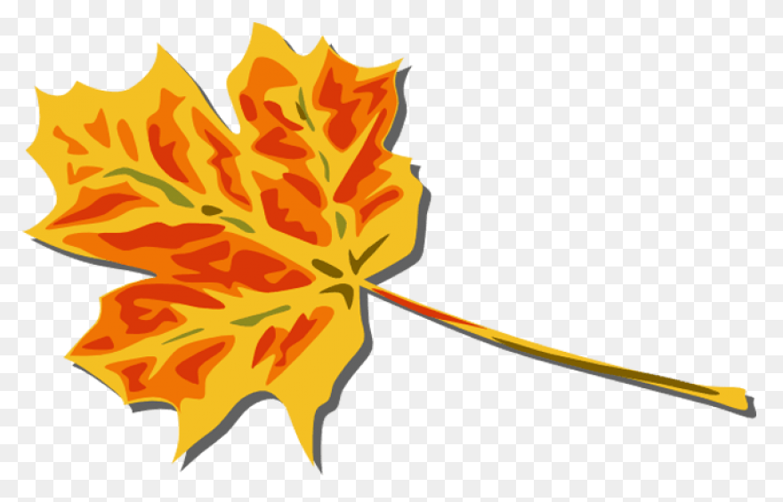 Fall Leaf Set PNG-WebP Cutting S Fo