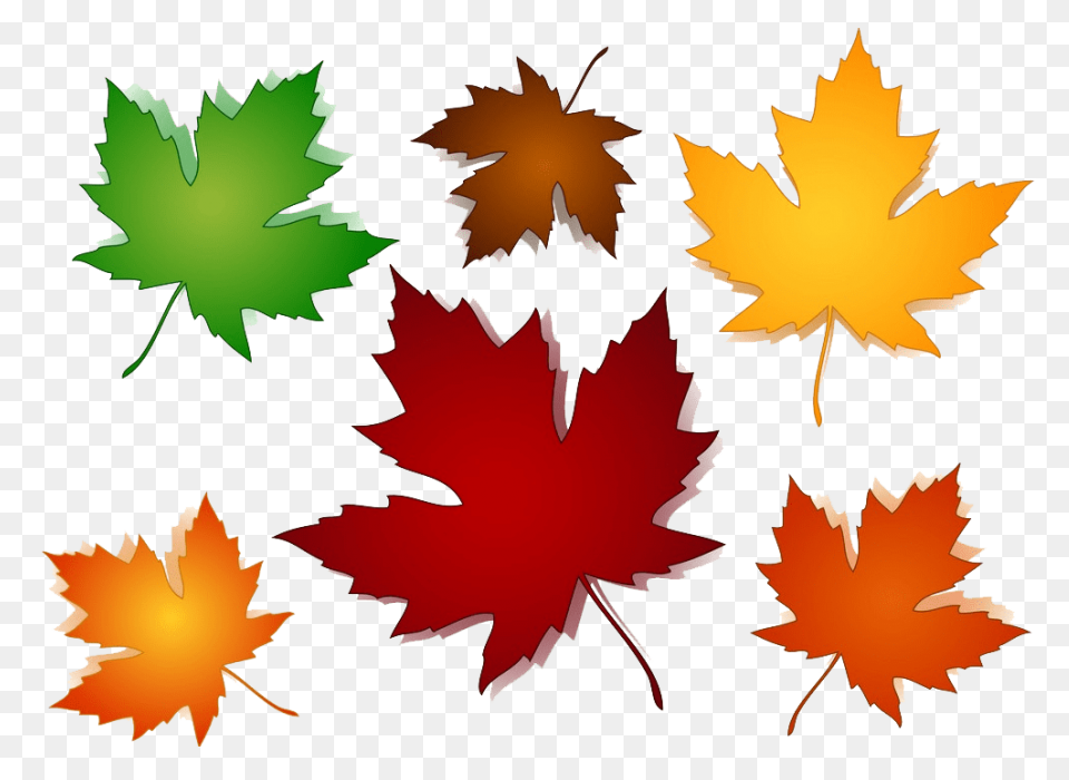 Fall Leaf Set PNG-WebP Cutting S Fo