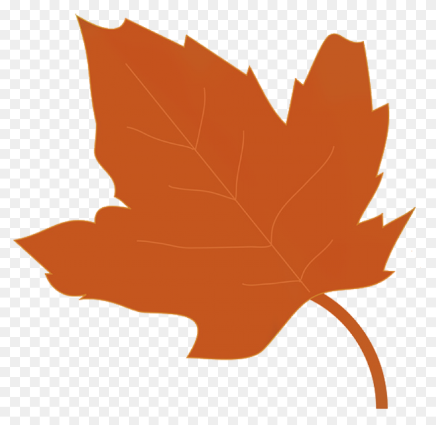 Fall Leaf Set PNG-WebP Cutting S Fo