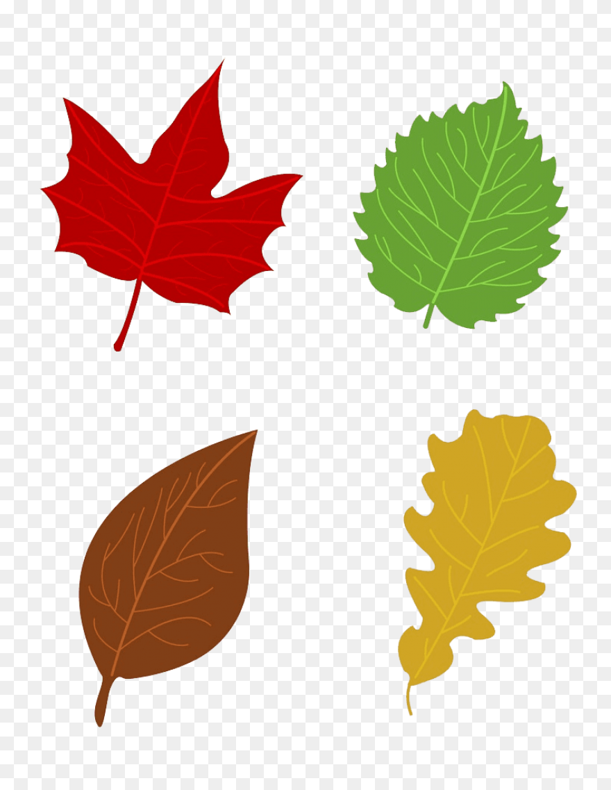 Fall Leaf Set PNG-WebP Cutting S Fo