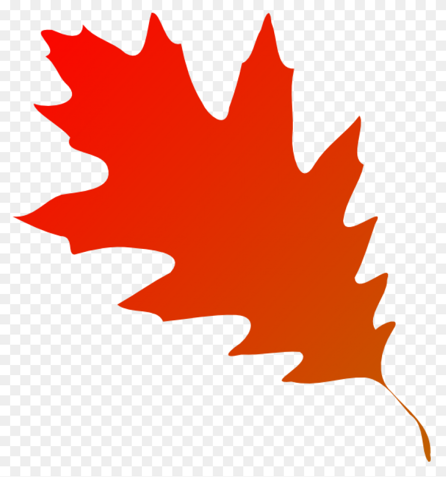 Fall Leaf Set PNG-WebP Cutting S Fo