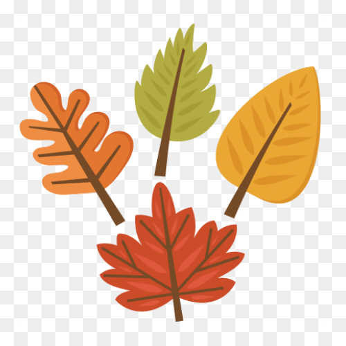 Fall Leaf Set PNG WebP - Fall Leaves
