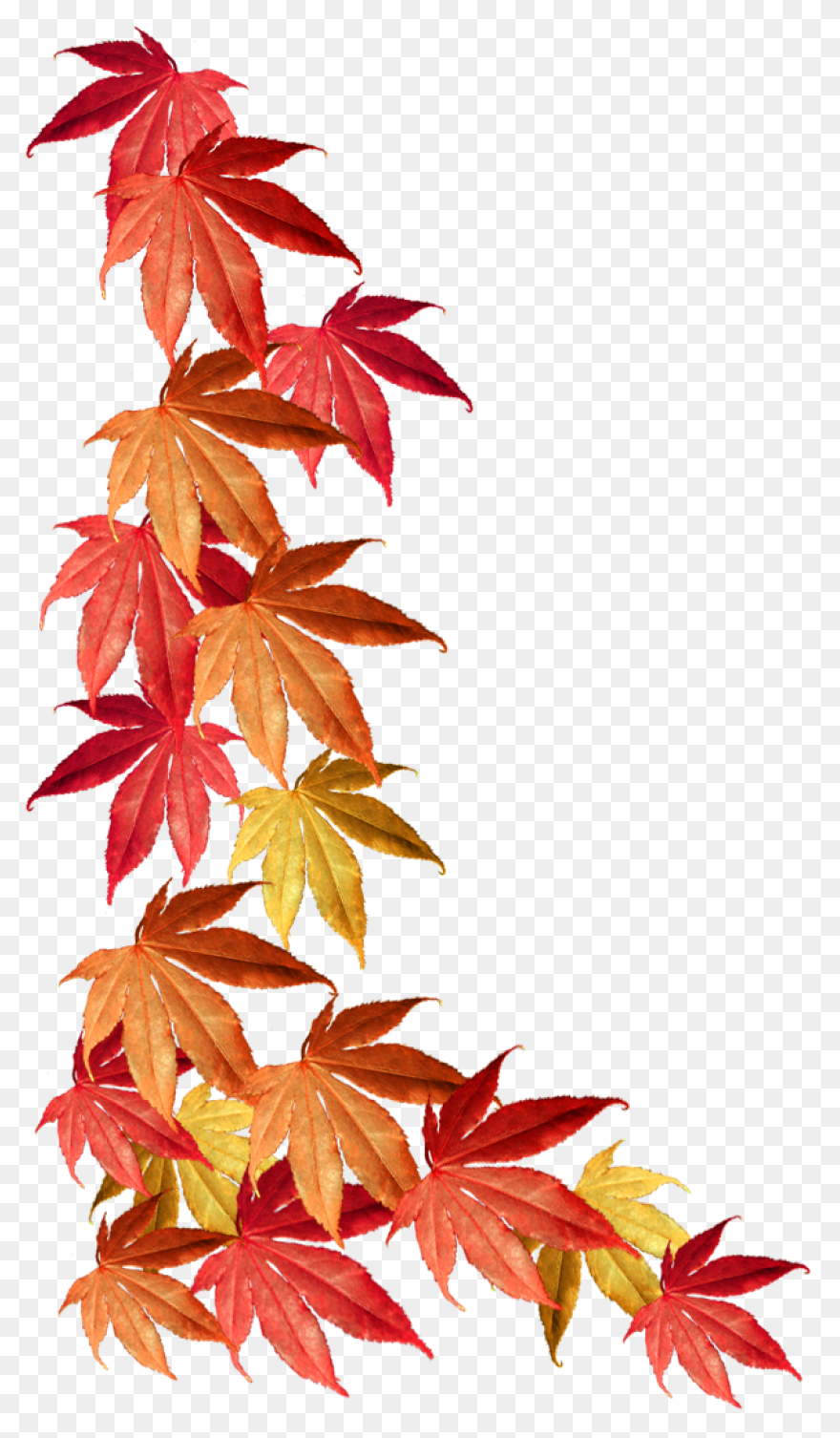 Fall Border Png Autumn Leaves - Fall Border