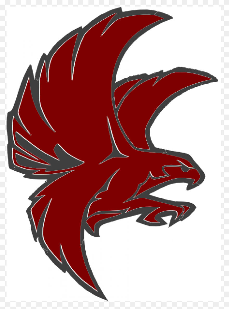 Bird, Duck, Eagle, Hawk, Peregrine 