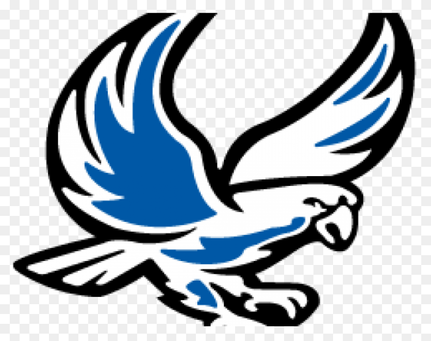 Bird, Duck, Eagle, Hawk, Peregrine 