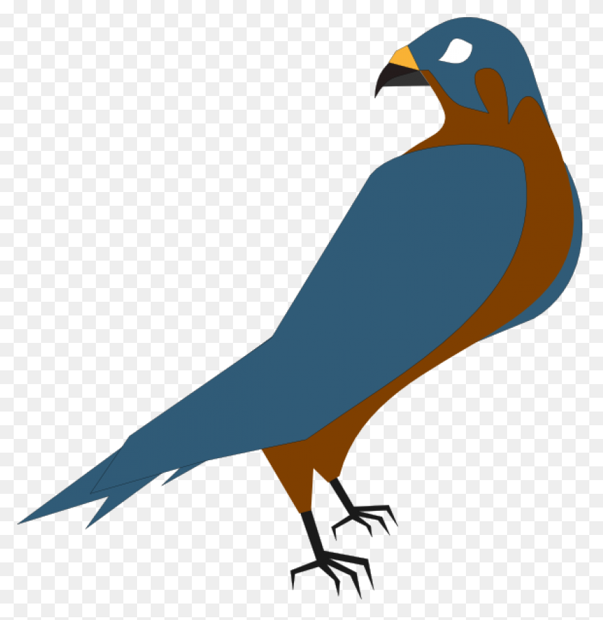 Bird, Duck, Eagle, Hawk, Peregrine 