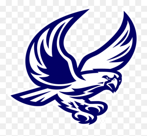 Bird, Duck, Eagle, Hawk, Peregrine 