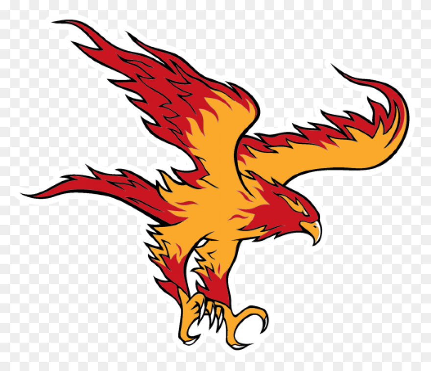 Bird, Duck, Eagle, Hawk, Peregrine 