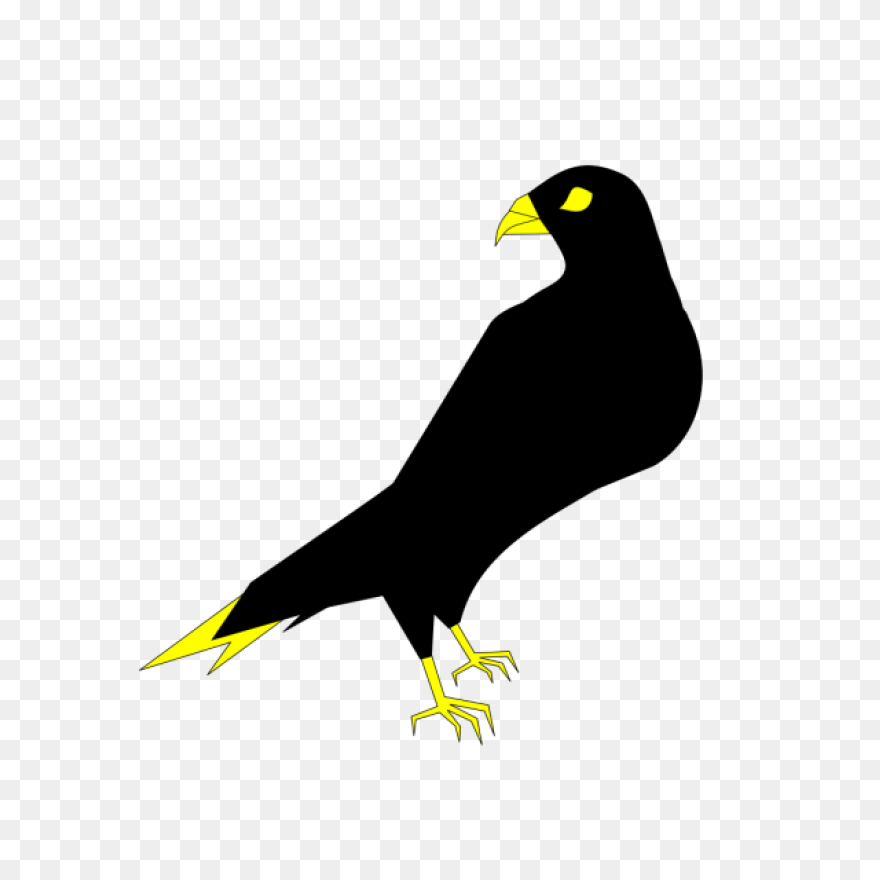 Bird, Duck, Eagle, Hawk, Peregrine 