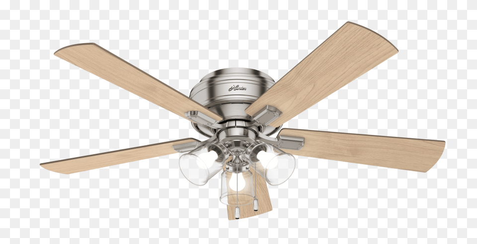 Download Hd Shell Pediment Flourish - Fan