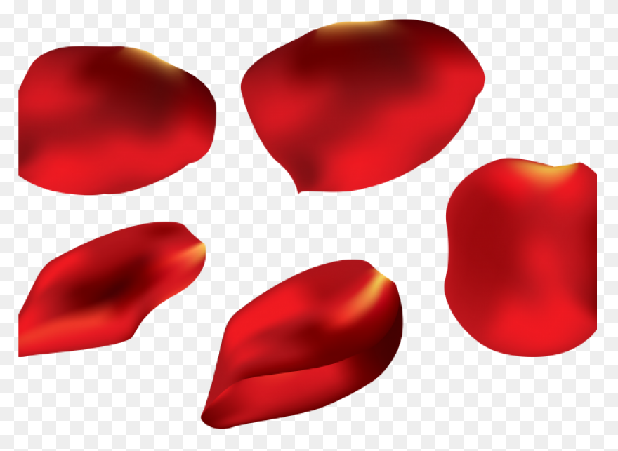 Red Flower Petals - Rose Petals Vec