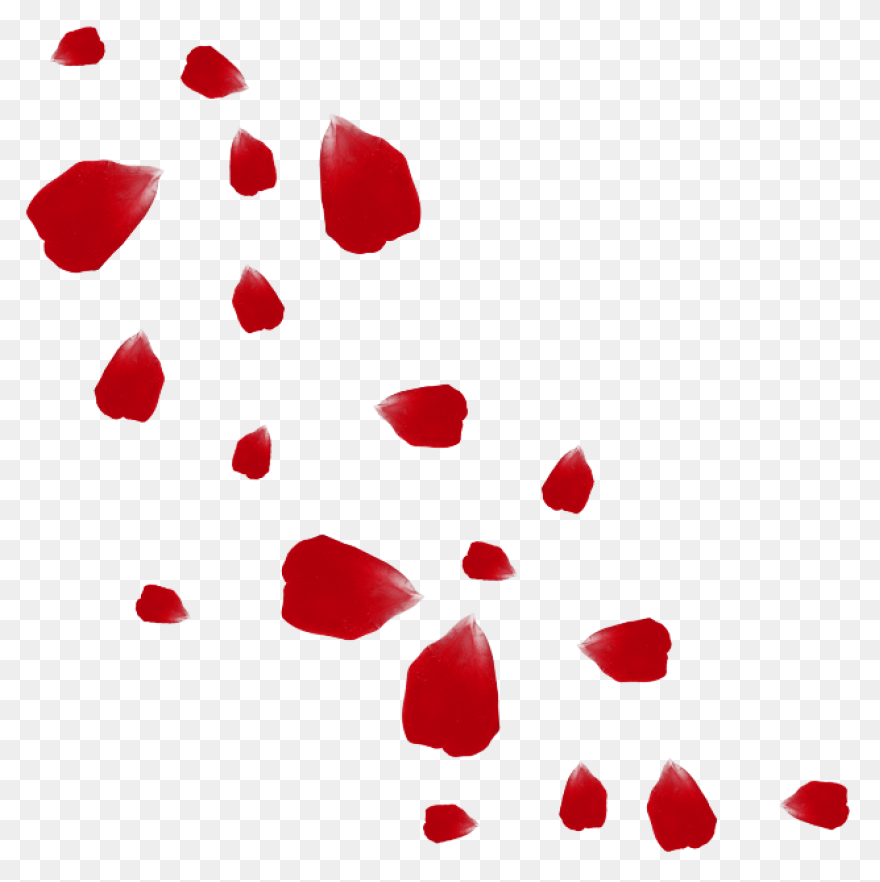 Red Flower Petals Rose Petals - Falling Petals