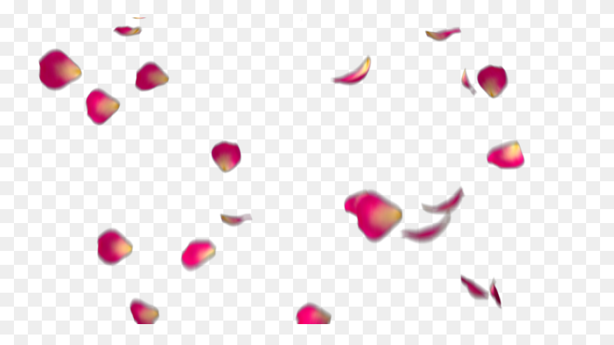 Red Flower Petals - Rose Petals Vec