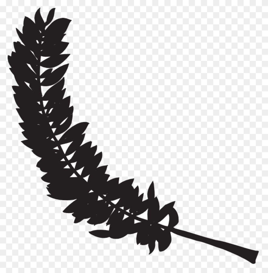Feather Silhouette Drawing - Feathe