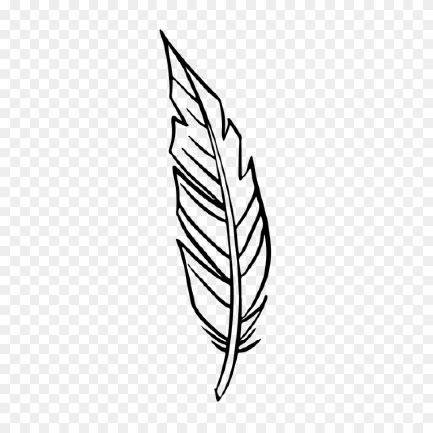 How To Draw A Feather - Really Easy