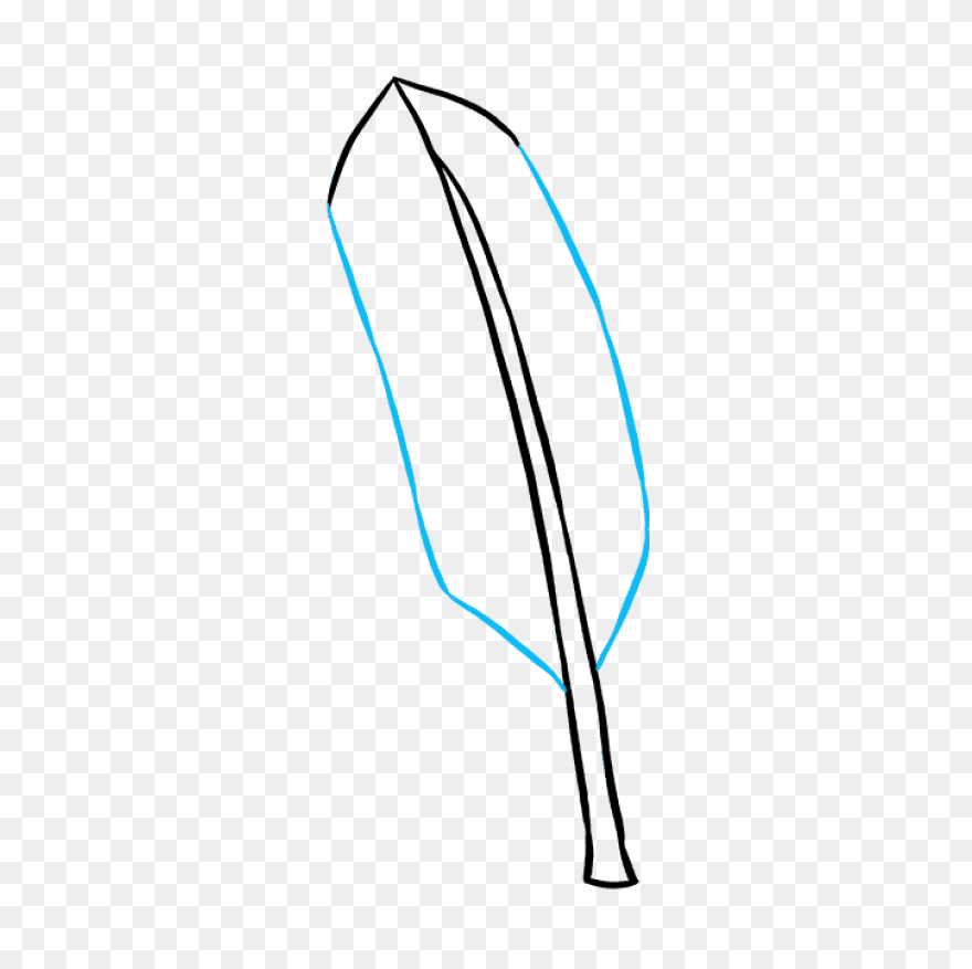 How To Draw A Feather - Really Easy