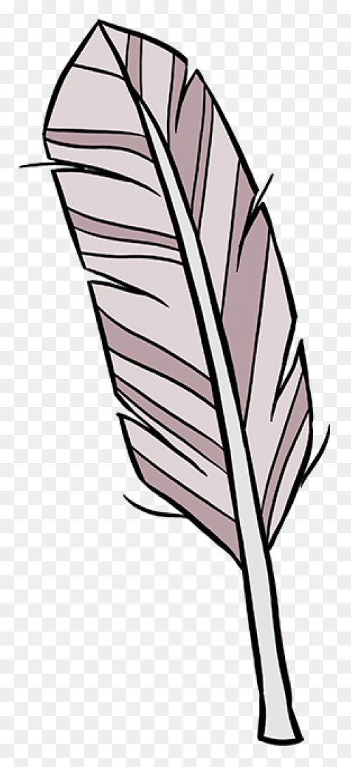 How To Draw A Feather - Really Easy