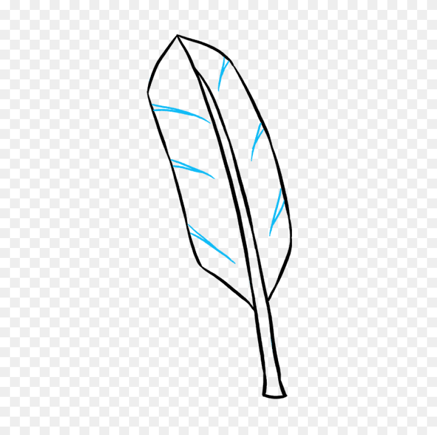 How To Draw A Feather - Really Easy