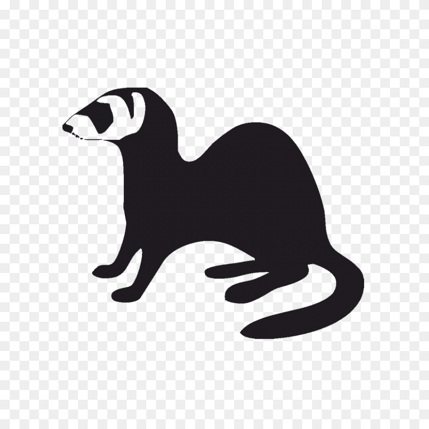 Learn How To Draw A Ferret Step By 