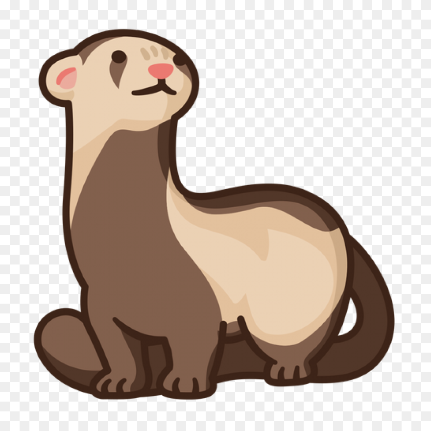 Learn How To Draw A Ferret Step By 