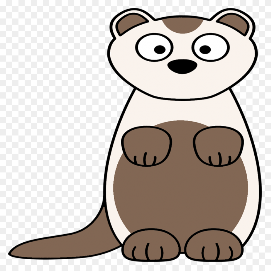 Learn How To Draw A Ferret Step By 