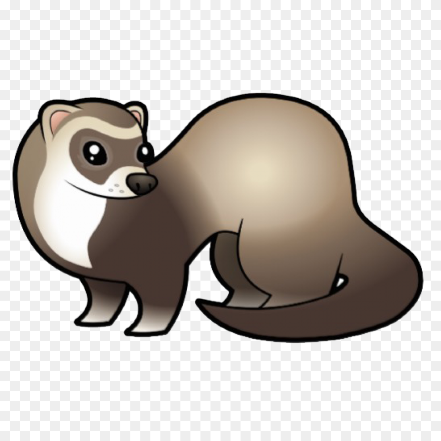 Learn How To Draw A Ferret Step By 