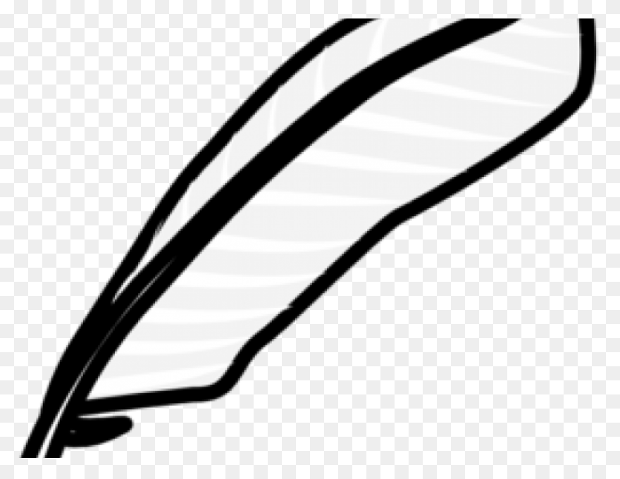 15 Feather Drawing Png For Free Dow