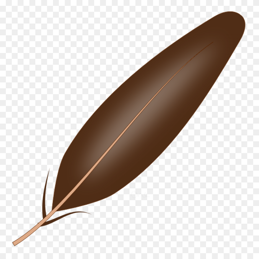 15 Feather Drawing Png For Free Dow