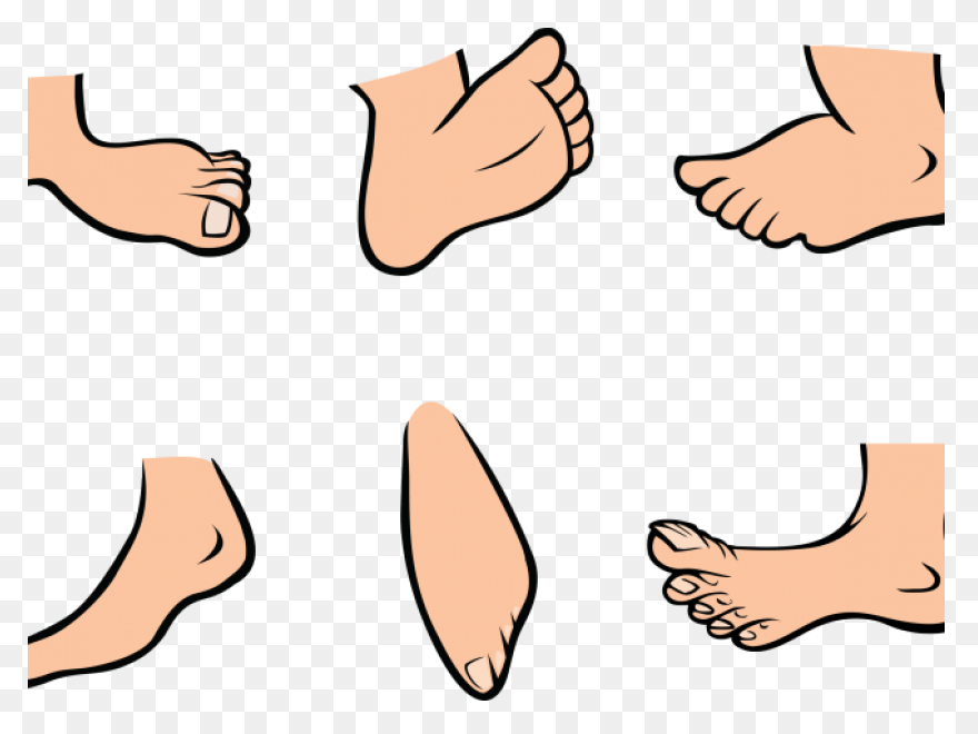14  Feet Clip Art - Preview : Feet 
