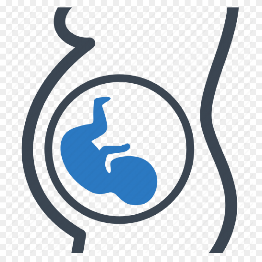 Fetus Baby Developing - Free Vector