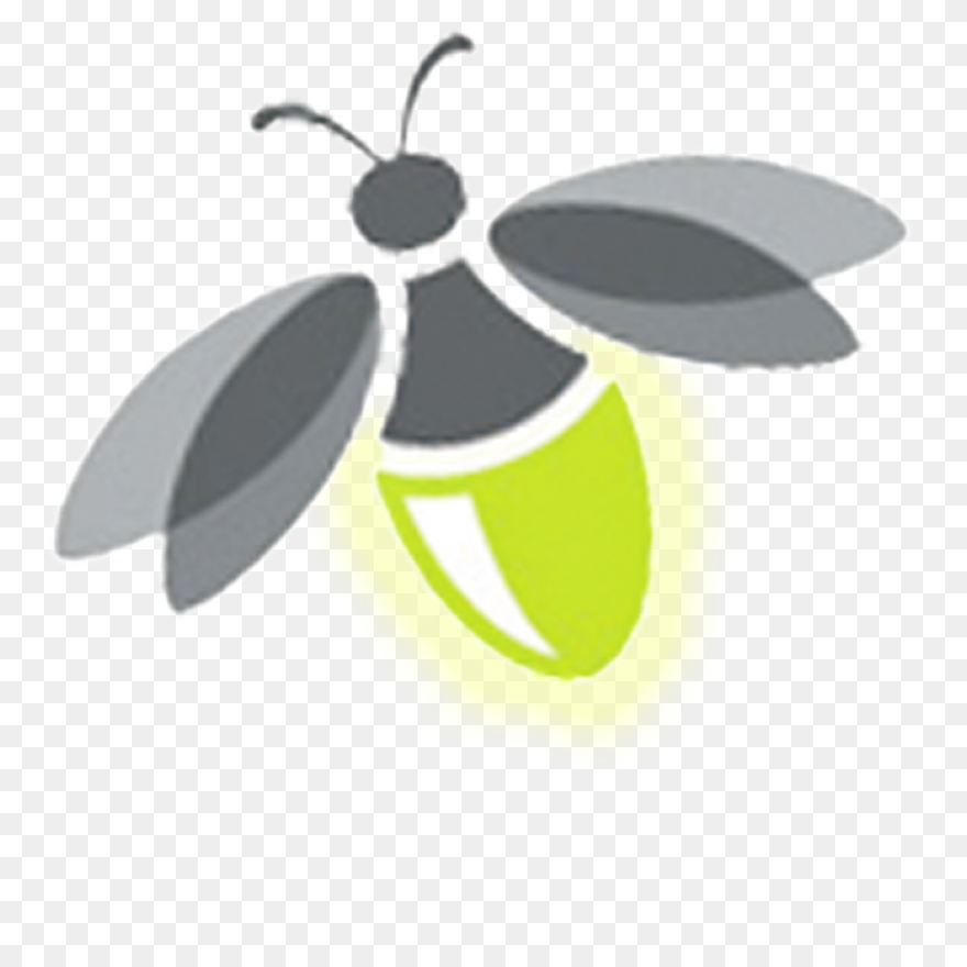 Firefly Bug Lightning - Free Vector