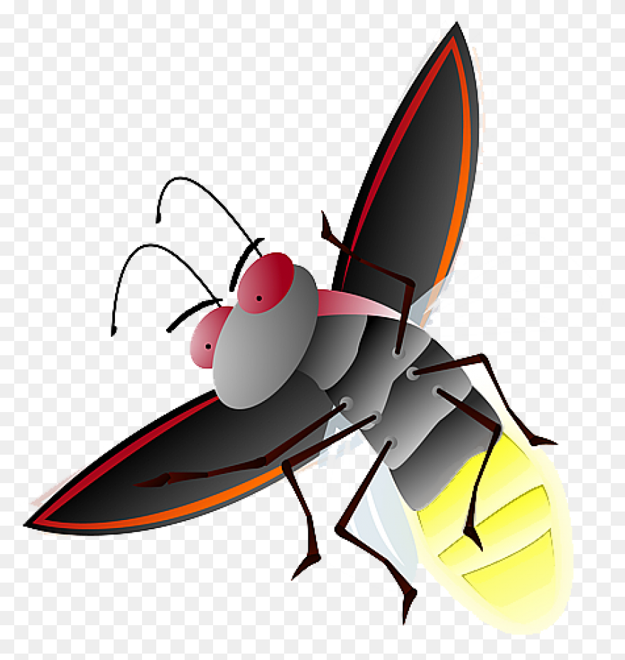 Firefly Bug Lightning - Free Vector