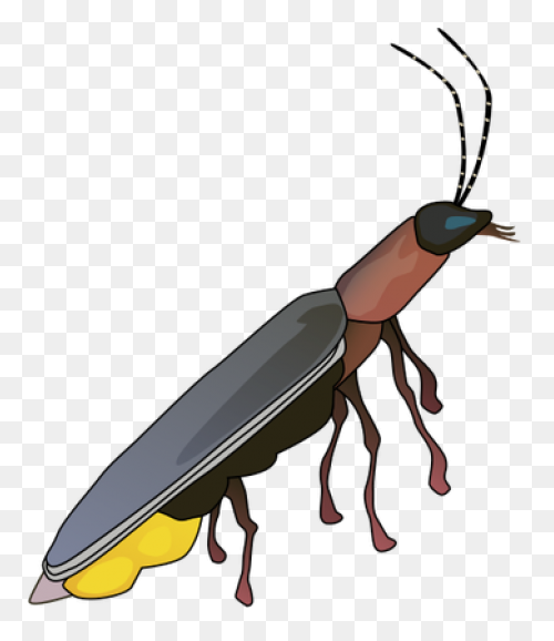 Firefly Bug Lightning - Free Vector
